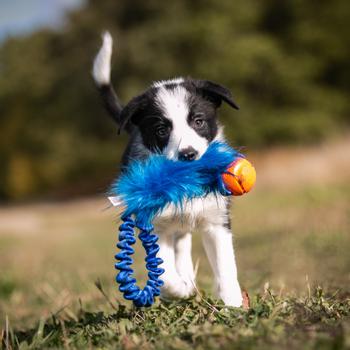 Doggie-Zen Doggie-Zen Elastisk Hundeleke med Fuskepels og Chuckit Ball - 32cm (33-7171)