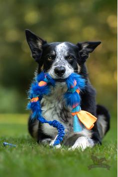 Doggie-Zen Elastisk Fleece og Fuskepels Hundeleke - 70cm (33-7421)