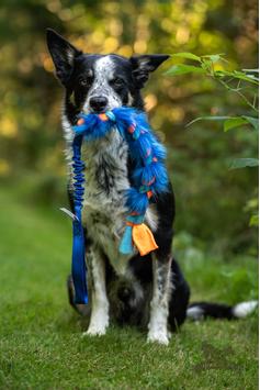 Doggie-Zen Elastisk Fleece og Fuskepels Hundeleke - 70cm (33-7421)