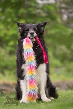 Doggie-Zen Bonanza Elastisk Hundeleke med Fuskepels - L (33-7700)