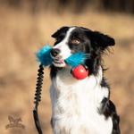 Doggie-Zen Doggie-Zen Elastisk Hundeleke med Fuskepels og KONG Ball - S (33-7355)