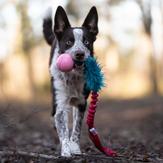 Doggie-Zen Elastisk Hundeleke med Fuskepels og KONG Ball - M/L (33-7356)