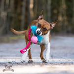Doggie-Zen Doggie-Zen Elastisk Hundeleke med Fuskepels og KONG Ball - M/L (33-7356)