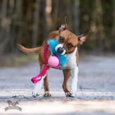 Doggie-Zen Elastisk Hundeleke med Fuskepels og KONG Ball - M/L (33-7356)
