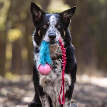 Doggie-Zen Doggie-Zen Elastisk Hundeleke med Fuskepels og KONG Ball - M/L (33-7356)