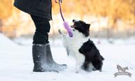 Doggie-Zen Elastisk Hundeleke med Fuskepels og KONG Senior - S (33-7343)
