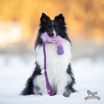 Doggie-Zen Elastisk Hundeleke med Fuskepels og KONG Senior - S (33-7343)