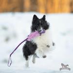 Doggie-Zen Doggie-Zen Elastisk Hundeleke med Fuskepels og KONG Senior - S (33-7343)