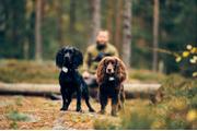 Lildog LilDog GPS 2.0 (LilD20)