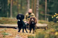 LilDog GPS 2.0 (LilD20)