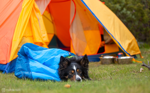 Non-stop Ly Sovepose til Hund - Blå  (44-1820-1500055598)