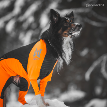 Non-stop Protector Snow, Heldress Hannhund - Svart/ Orange (44-2504)