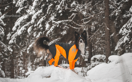 Non-stop Protector Snow, Heldress Hannhund - Svart/ Orange (44-2504)