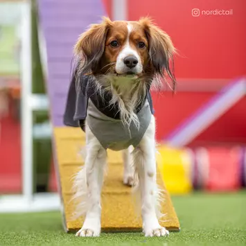 Paikka Recovery Woolmix Shirt - Grå (120-1048056)