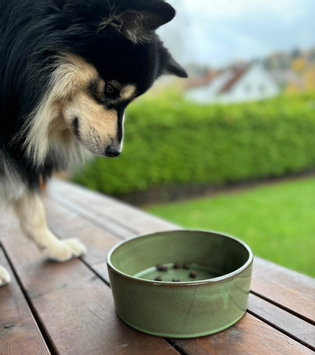 D&D Jasper Keramikkskål - Grønn  (59-D621446126)