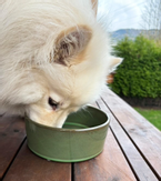 D&D Jasper Keramikkskål - Grønn  (59-D621446126)