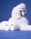 Paikka Honningsalve - 50ml (120-1079001)