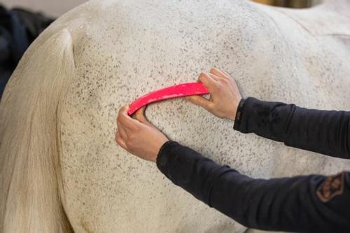 Holland Animal Care Excellent Hestebørste - Rosa (128-BORS0004G-1500045096)