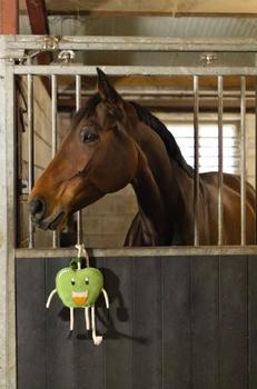 Holland Animal Care Excellent Foodie Friends Eple (128-EXCE01050A)