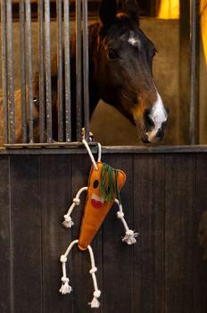 Holland Animal Care Excellent Foodie Friends Gulrot (128-EXCE01050C)