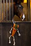 Holland Animal Care Excellent Foodie Friends Gulrot (128-EXCE01050C)