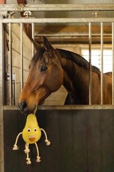 Holland Animal Care Excellent Foodie Friends Pære (128-EXCE01050D)