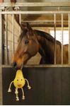 Holland Animal Care Excellent Foodie Friends Pære (128-EXCE01050D)