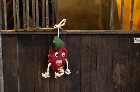 Excellent Foodie Friends Bringebær (128-EXCE01050E)