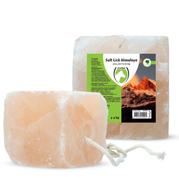 Holland Animal Care Excellent Himalaya Saltstein med Tau - 3-4kg