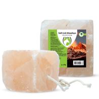  Excellent Himalaya Saltstein med Tau - 3-4kg