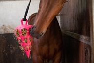 Fun and Flex Slowfeeder til Hest, Rosa - 22cm (128-HOOI018M14)