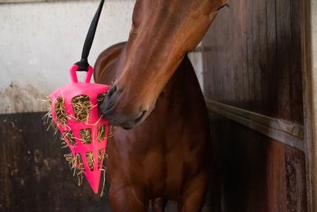 Fun and Flex Slowfeeder til Hest, Rosa - 22cm (128-HOOI018M14)