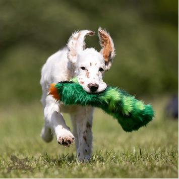  Doggie-Zen Knitrende Kaktus Hundeleke - 35cm