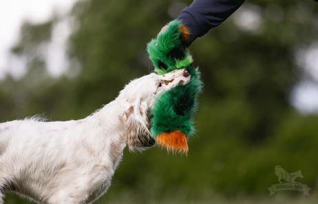 Doggie-Zen Kaktus Hundeleke med Pipelyd - 35cm (33-7870)