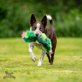 Doggie-Zen Doggie-Zen Kaktus Hundeleke med Pipelyd - 35cm (33-7870)