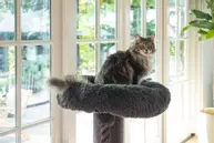 Ramiro Klorestativ,  Grå - 120cm (51-408923)