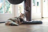 Ramiro Klorestativ,  Grå - 120cm (51-408923)