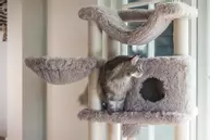 Duco Klorestativ,  Taupe - 126cm (51-408930)