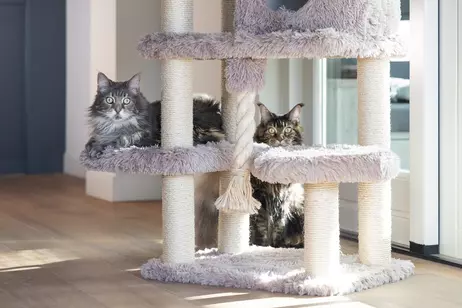 Duco Klorestativ,  Taupe - 126cm (51-408930)