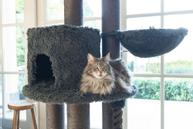 Kaleo Klorestativ,  Grå - 166cm (51-408934)