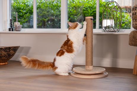 Designed by Lotte Zavi Klorestativ,  Brun - 62cm (51-409172)