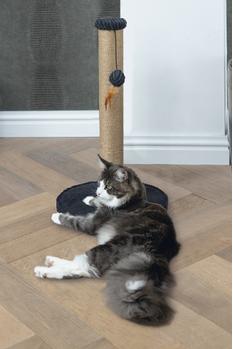 Designed by Lotte Klorestativ med Ribbestoff,  Antrasitt - 70cm (51-409187)