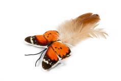  Sommerfugl Katteleke - 8cm