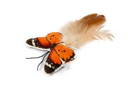  Sommerfugl Katteleke - 8cm