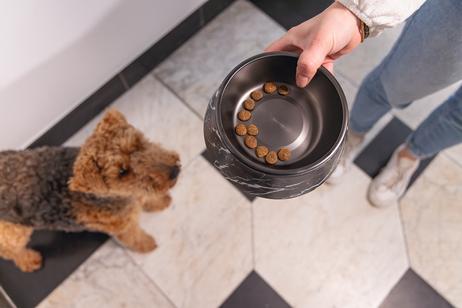 Designed by Lotte Meis Hundeskål - Svart (51-650842)