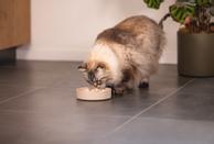 Designed by Lotte Designed by Lotte Bambus Slow Feeder, Beige (51-655201, 51-655203)