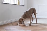 Designed by Lotte Designed by Lotte Bambus Slow Feeder, Beige (51-655201, 51-655203)