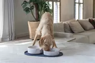 Designed by Lotte Bambus Hundeskål - Beige (51-655213-1500092195)