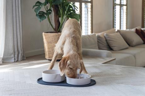 Designed by Lotte Bambus Hundeskål - Beige (51-655213-1500092195)