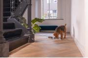 Designed by Lotte Silikon Underlagsmatte,  Beige - 55cm (51-656002)